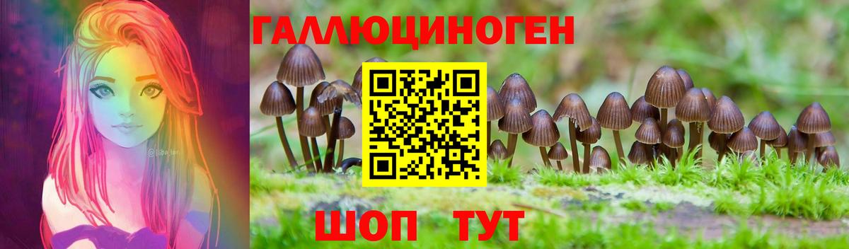 Барабинск  Галлюциногенные грибы мицелий  Вход с VPN 